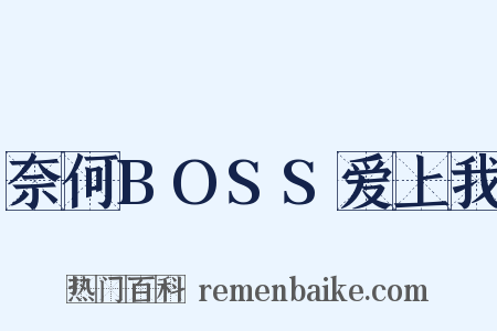 奈何BOSS爱上我是什么意思的图片